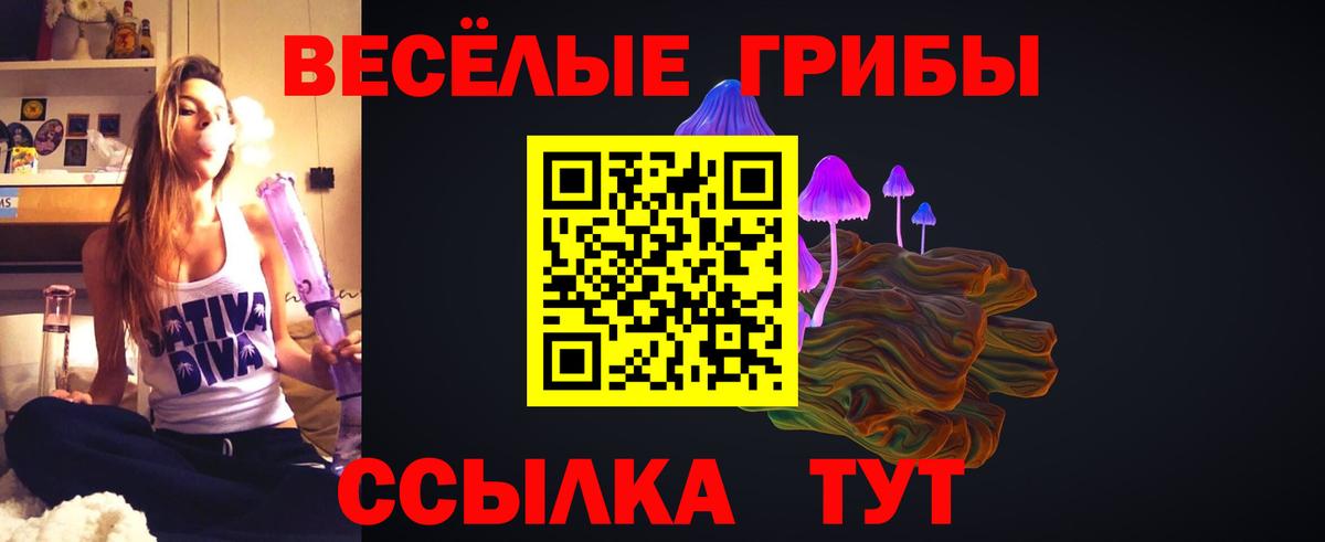 Галлюциногенные грибы Psilocybe  Псилоцибиновые грибы ЛСД  Сосновоборск  Вход с VPN 