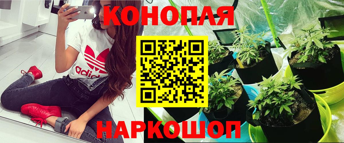 Марихуана Amnesia  Вход с VPN  Сосновоборск  Марихуана THC 21% 